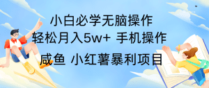 10天赚了3.6万，年前风口利润超级高，手机操作就可以，多劳多得-爆品运营狮