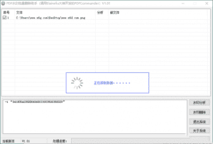 PDF水印批量删除助手v1.01-爆品运营狮