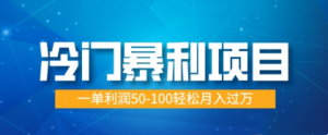 冷门暴利项目，蓝海市场供大于求，一单利润50-100轻松月入过W-爆品运营狮